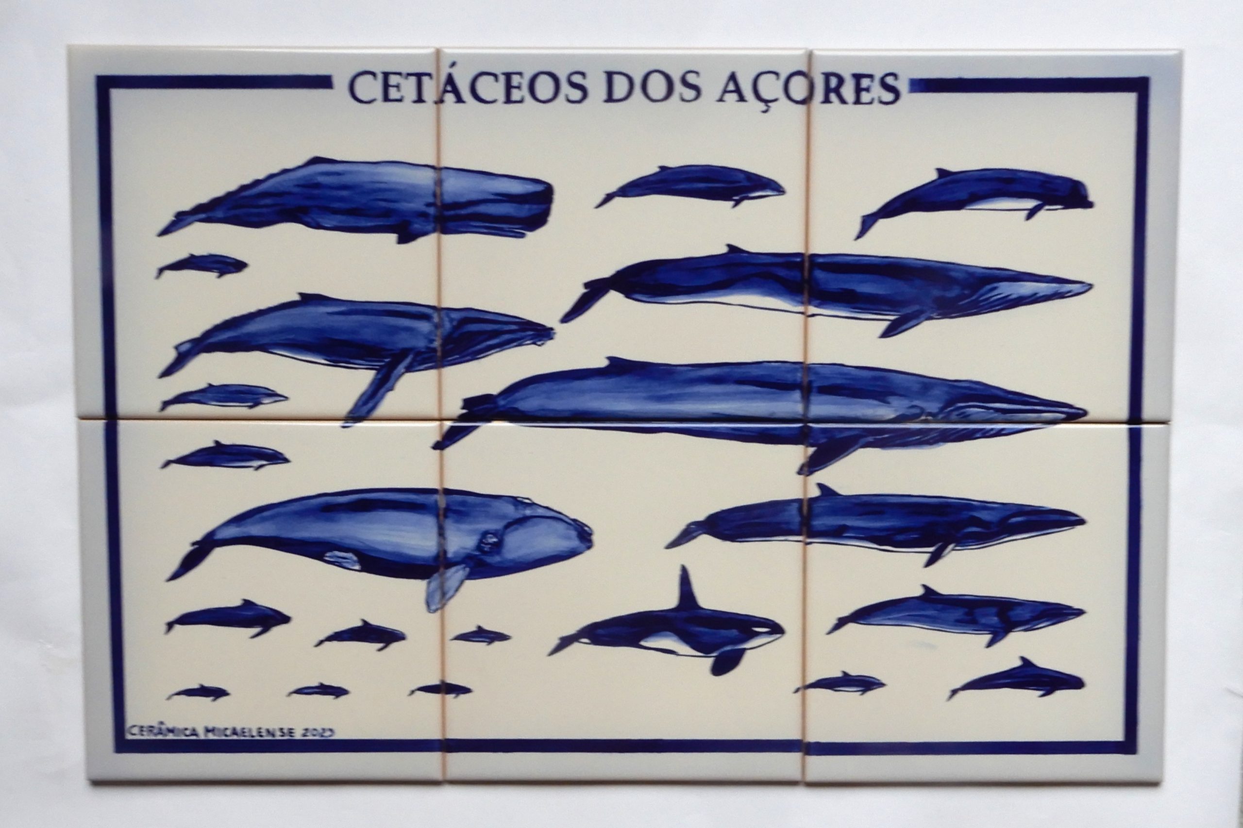 Painel 6 azulejos 45X30 Tema Cetáceos